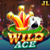 Wild Ace at 365 casino login